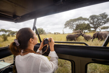 Wall Mural - happy woman on an african safari travels by car with an open roof and photograph wild elephants