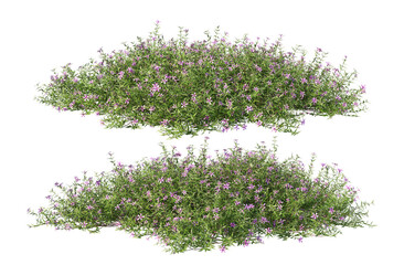 Sticker - 3D render many plants and flowers on a transparent background