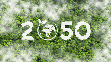 Wall Mural - Net zero by 2050. Carbon neutral on Top view of nature. Net zero greenhouse gas emissions target. Climate neutral long term strategy. concept for Sustainable environment development goals