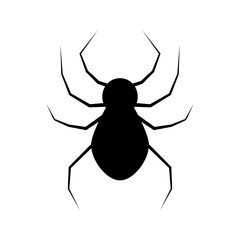 Wall Mural - Realistic spider silhouette icon. Vector.