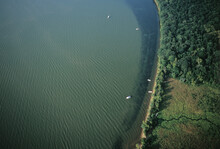 Algae Blooms (greenish Water  In Mallows Bay And Near Smith Point), MD Caused By Excess Nitrogen In Summertime.