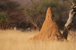 Arid landscape of central Namibia showing dried grasses and termite mound.