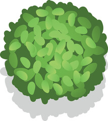 Sticker - Landscape nature element. Green bush top view