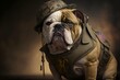 Portrait of an english bulldog dressed as a United States marine, generative ai