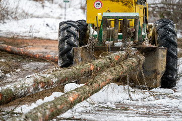 Wall Mural - A skidder pulling a felled tree