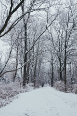  Penn Yan Outlet Trail