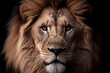 © Pol Solé - Portrait of a male African lion isolated on a black background. Realistic face, front view. African wildlife mammal feline. Concept of King, power, strength, powerful, leader, strong. Generative AI.