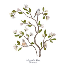 Blossom Magnolia Tree With Grey Birds. Hand Drawn Tree With Flowers