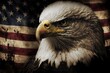 Bald Eagle In front of American Flag, Generative AI