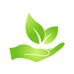 Hand with eco green leaf icon Bio nature green eco symbol for web and business