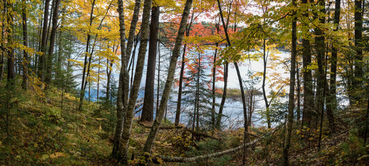 Wall Mural - A view through the autumn woods of a pristine Northwoods lake.  Vilas County, WI.
