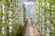 © yzhensiang - Sustainable Agriculture. Hydroponics based production method farm. Wellness, healthy and sustainable food sourcing concept. Vertical Farming.
