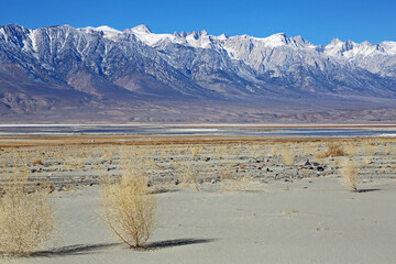 Wall Mural - Owens Valley and Sierra Nevada, California