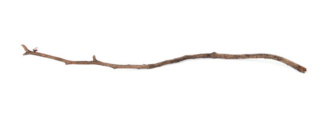 Old dry tree twig isolated on white