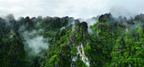 Fototapeta Góry - Morning mist on the canopy in the mountains of the rainforest 