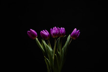 Bouquet Of Purple Tulips With Green Leaves On A Black Background