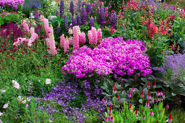 flowers in a garden - exposition