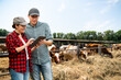 © scharfsinn86 - Farmers with a digital tablet in a cow farm. Herd management concept