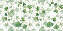 Seamless Pattern With Watercolor Grape Leaves HAND DRAWN