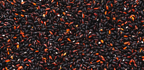 Wall Mural - Wild raw black rice groats, food background texture, top view horizontal banner