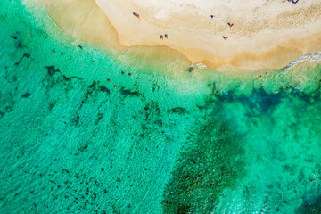 Wall Mural - Tropical carribbean beach