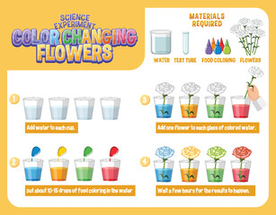 Wall Mural - Color Changing Flowers Science Experiment