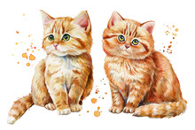 Tow Red Cats On An Isolated White Background. Watercolor Illustration, Cute Kitten Hand Drawing