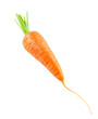 Carrot isolated on transparent background. PNG format