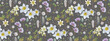 Seamless pattern with floral romantic elements, hand drawn daffodils, chamomile and other plants. Endless texture, watercolor sketch flowers, feathers. Vector illustration on dark grey for your design