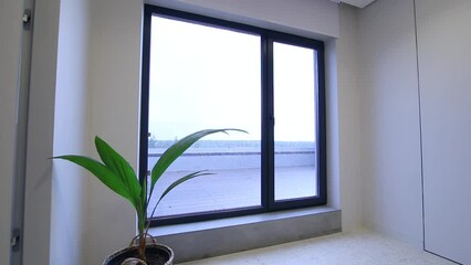 Leinwandbilder - Motorized roller blinds in the interior. Automatic solar shades white color on full height window. A houseplant is near motor curtain.