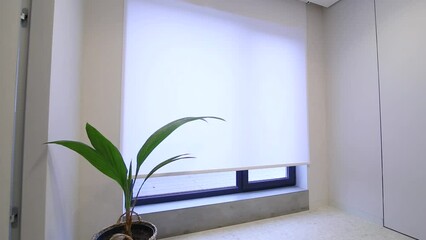 Leinwandbilder - Motorized roller blinds in the interior. Automatic solar shades white color on full height window. A houseplant is near motor curtain.