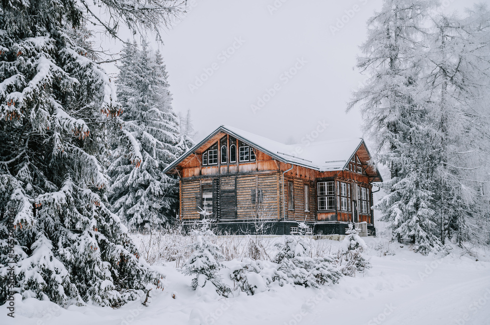 Cozy wooden cabin nestled in a winter wonderland of fresh snow ...
