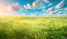 Beautiful Bright Natural Image Of Fresh Grass Spring Meadow With Dandelions With Blurred Background And Blue Sky With Clouds On Bright Sunny Day.