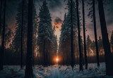 Fototapeta Na ścianę - forest in the winter evening created with Generative AI technology