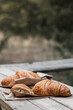 Snack with croissants in nature in the forest