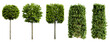 Collection of beautiful urban trimmed trees isolated on transparent background. Realistic 3D render. 3D illustration.