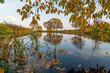Autumn landscape on the shore of a reservoir .