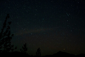 Wall Mural - On January 25, 2023, the rare green comet C/2022 E3 (ZTF) appeared with an earthgrazer meteor fireball. This image was taken at 10:10:58 PM PST (UTC-8) near Ashland Oregon.