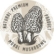 Autumn forest morel mushroom picking, vegetarian menu