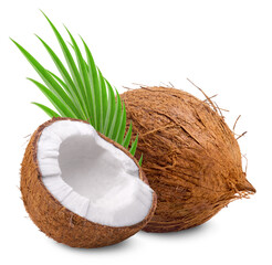 Wall Mural - coconut isolated. whole coconut and half coconut with palm leaf isolated on white background.