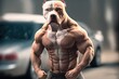 The Mesmerizing Art of Illustrating a Muscle Pitbull Dog with Human Body. Generative AI