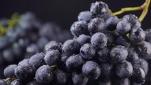 Bunches Of Dark Grapes With Water Drops Lies On Black Background, Camera Moves Sideway To The Left Side