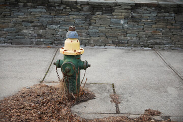 Wall Mural - Old Fire Hydrant on the street stone cement sidewalk 