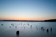 © Cavan Images - Flooded timber provides excellent fish habitat at Lake Fork in Texas, historicallysome of the best fishing for largemouth bass.