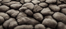 Gray Fur Skin Texture Background With Generative AI Technology
