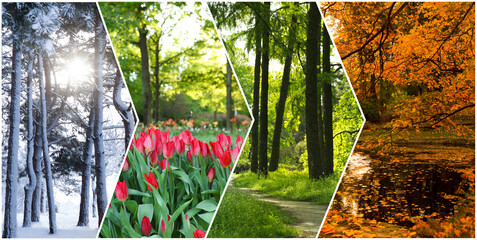 Four seasons. Collage design with beautiful photos of nature