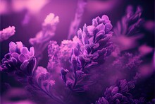 Colourful Lavender Haze Generative - AI Illustration
