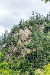 Wall Mural - View of a beautiful cliff from Karangahake Gorge track in New Zealand