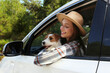 Beautiful young woman in the car with her adorable rough coated pup. Smiling female sitting in the driver seat with her jack russel terrier and looking out the window. Close up, copy space, background