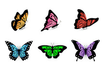 Butterflies, Tropical Insects Flying Vector Set. Red, Pink, Green, Blue, Violet And Yellow Bugs Illustration For Biology, Entomology Magazine. Wildlife And Nature. Design Elements For Scrapbook